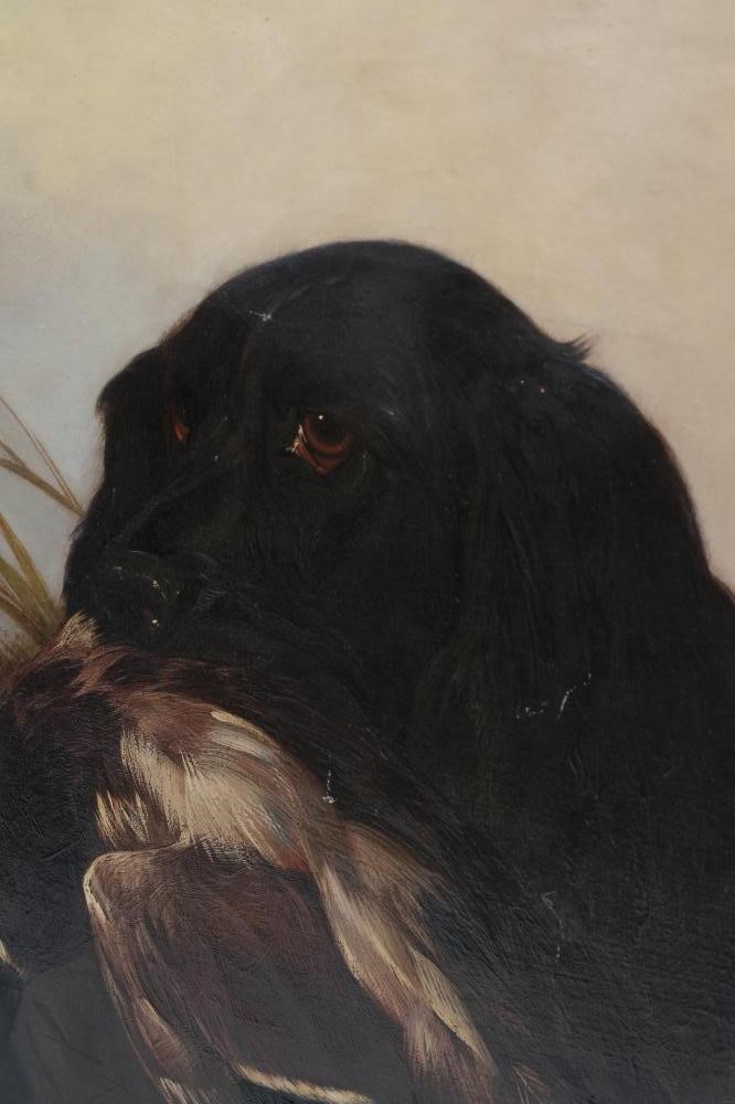 COLIN GRAEME ROE (1858-1910) Image