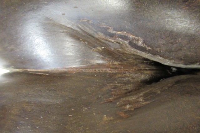 A LARGE POLISHED COCO-DE-MER Image