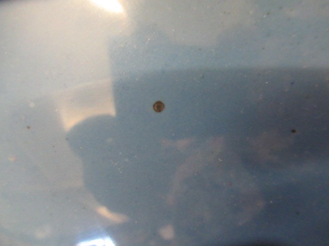 A LARGE AND IMPRESSIVE PAIR OF JAPANESE CLOISONNE ENAMEL VASES Image