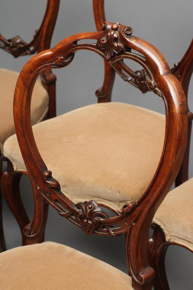 A SET OF SIX VICTORIAN WALNUT DINING CHAIRS of open balloon back form carved with foliate scrolls Image