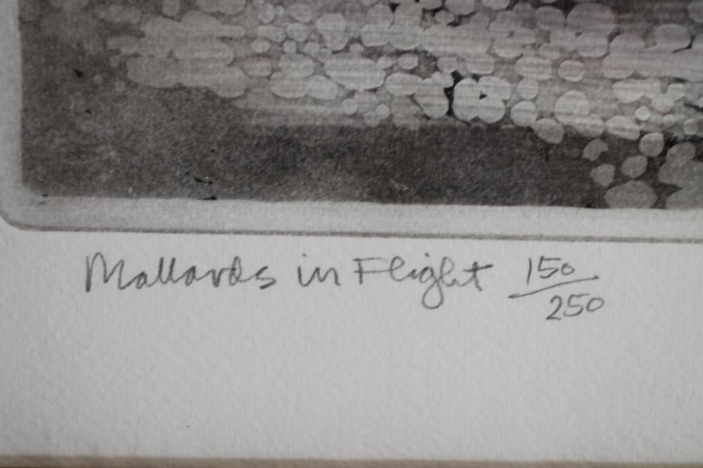 ‡GRAHAM CLARKE (b.1941) Image