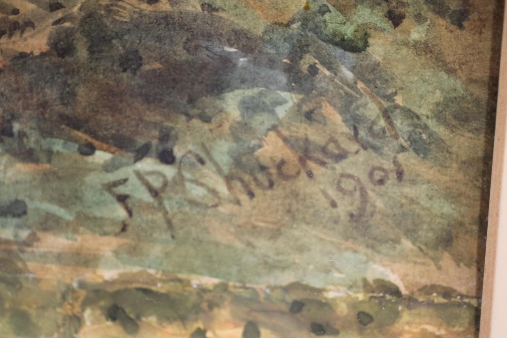 FREDERICK P SHUCKARD (fl.1868-1901) Image