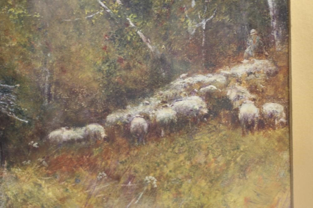 FREDERICK (FRED) HINES (act.1875-1928) Image