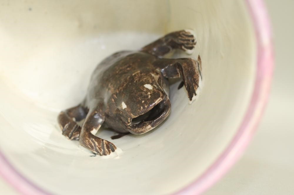 A SUNDERLAND PEARLWARE FROG MUG Image