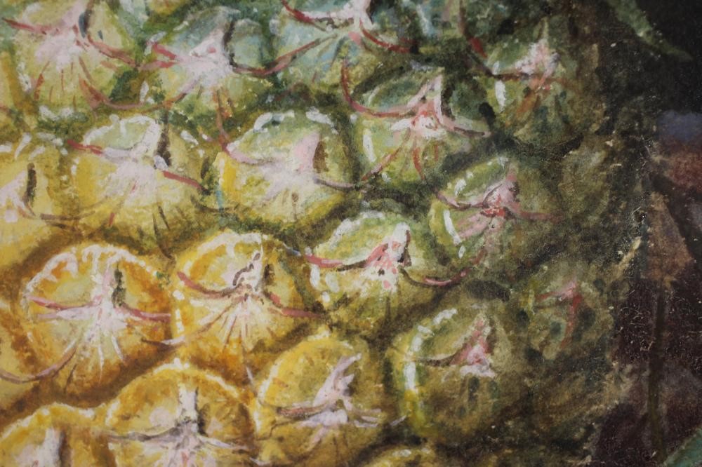 JAMES BURRAS (Exh.1882) Image