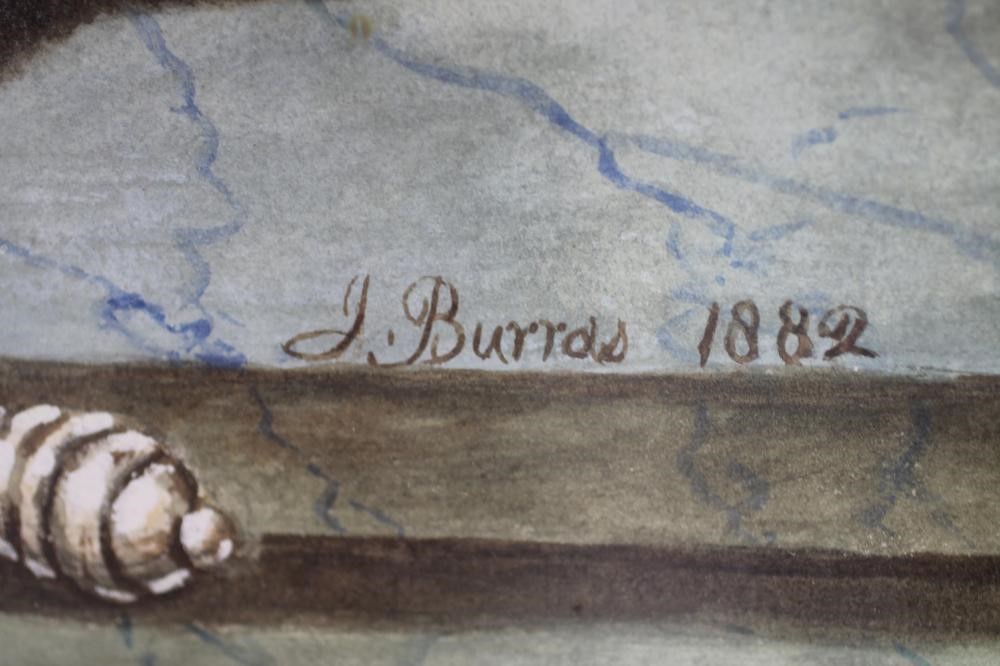 JAMES BURRAS (Exh.1882) Image