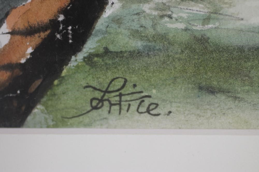 ‡ALAN TORTICE (b.1948) Image