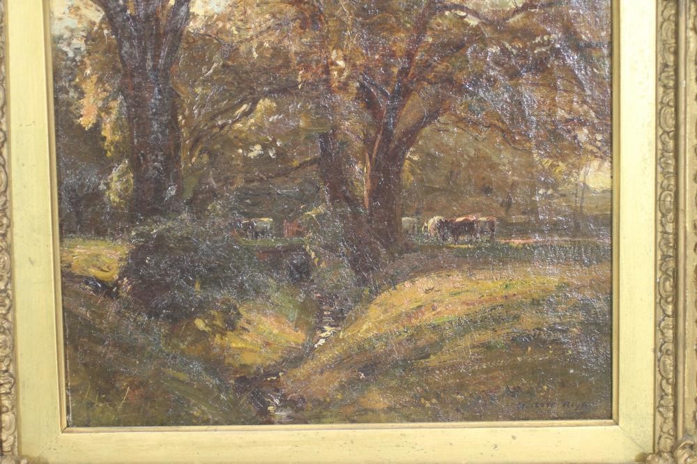 ‡HERBERT F ROYLE (1870-1958) Image