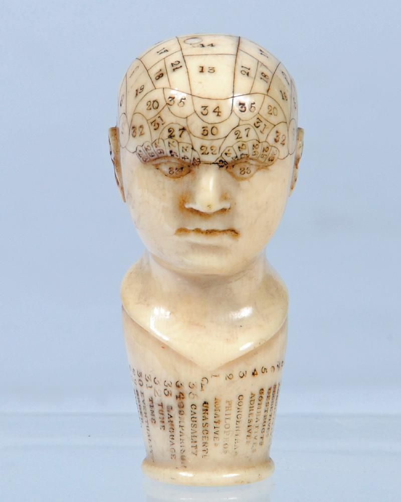 AN IVORY PHRENOLOGY HEAD Image