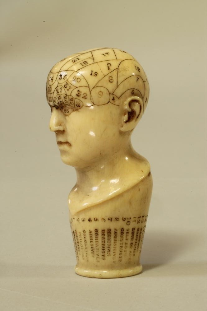 AN IVORY PHRENOLOGY HEAD Image
