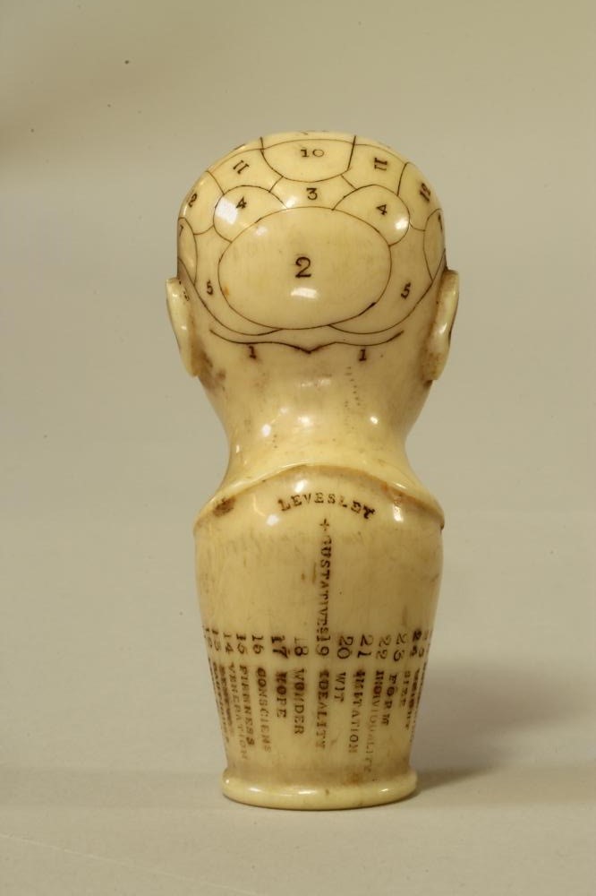 AN IVORY PHRENOLOGY HEAD Image