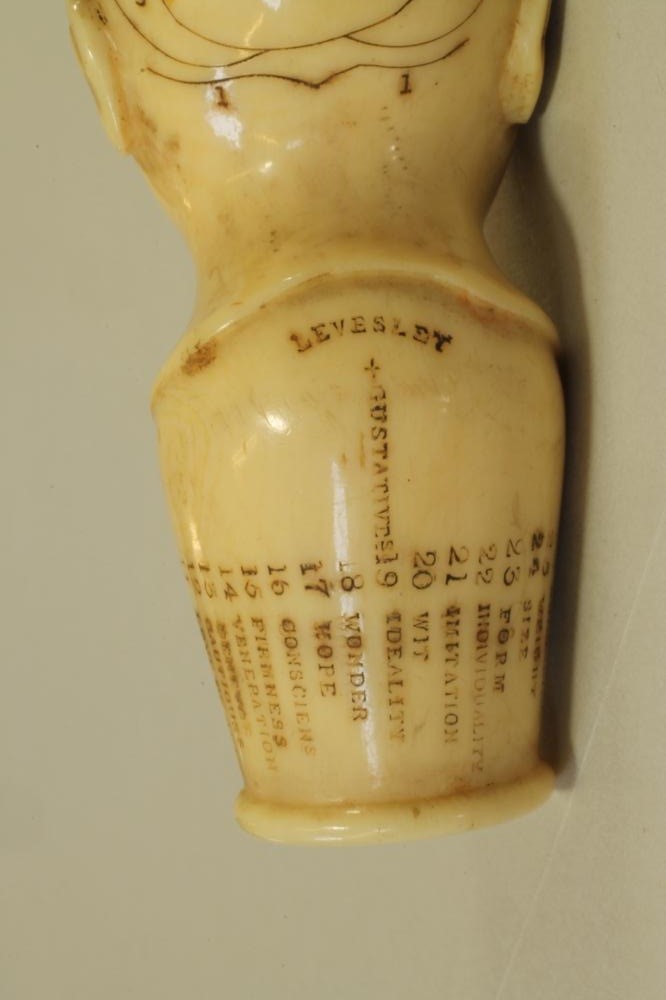 AN IVORY PHRENOLOGY HEAD Image