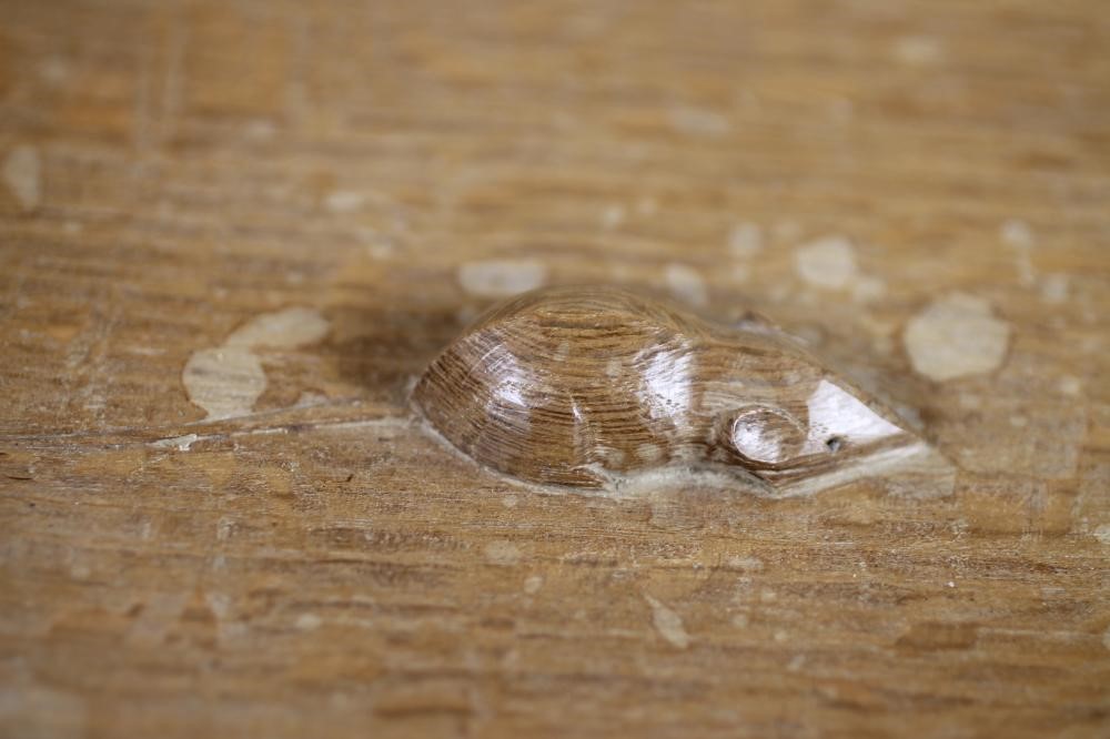 AN OAK FRUIT BOWL BY ROBERT THOMPSON Image
