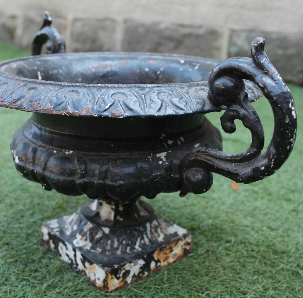 A SMALL PAIR OF VICTORIAN CAST IRON URNS of half fluted campana form with leaf moulded rim Image