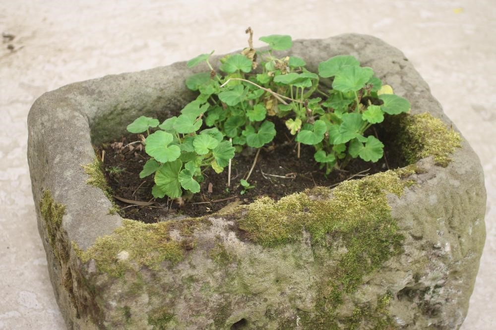 A SANDSTONE TROUGH of rough hewn oblong form Image