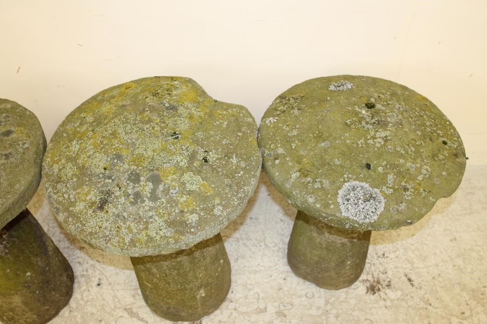 A HARLEQUIN SET OF THREE SANDSTONE STADDLE STONES Image