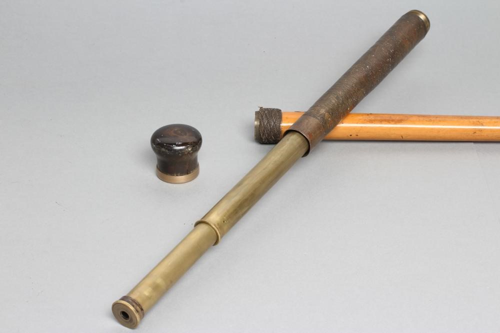 A GENTLEMAN'S NOVELTY MALACCA CANE Image