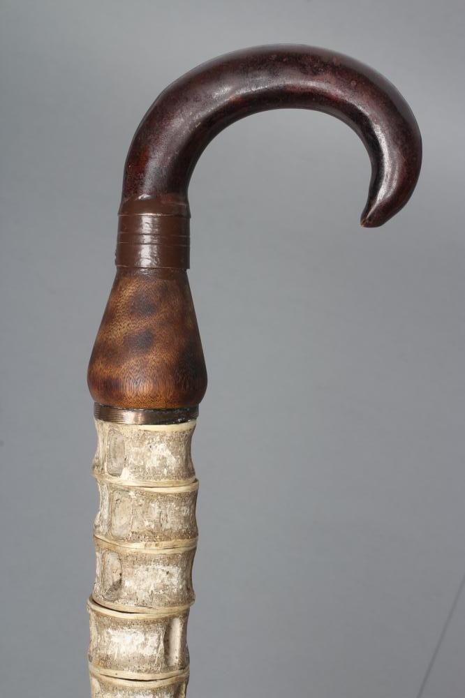 A SHARK VERTEBRAE WALKING STICK Image