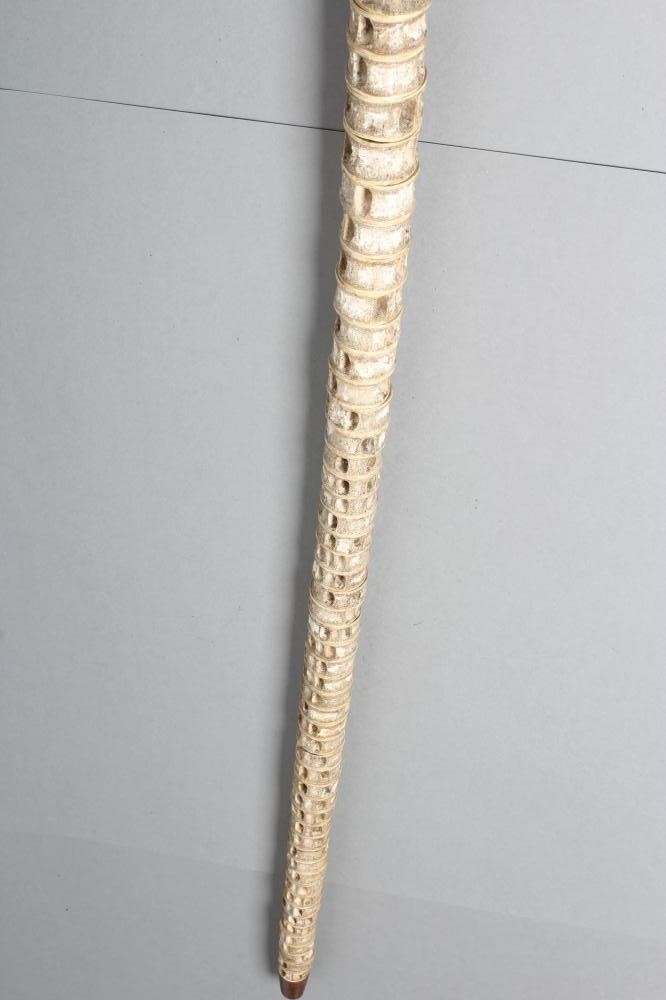A SHARK VERTEBRAE WALKING STICK Image