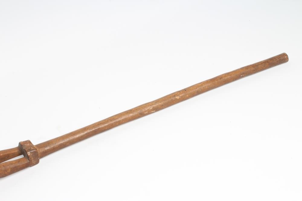 AN AFRICAN CEREMONIAL STAFF Image