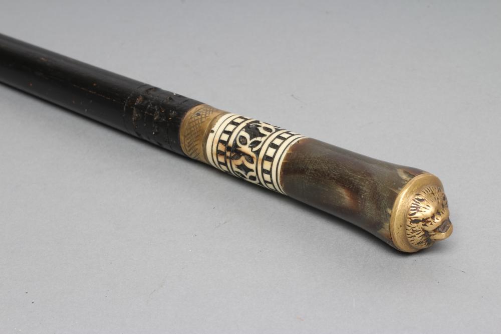 AN ANGLO-INDIAN SWORD STICK Image