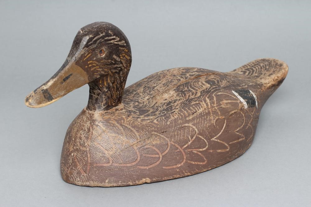 A DECOY BLACK DUCK Image