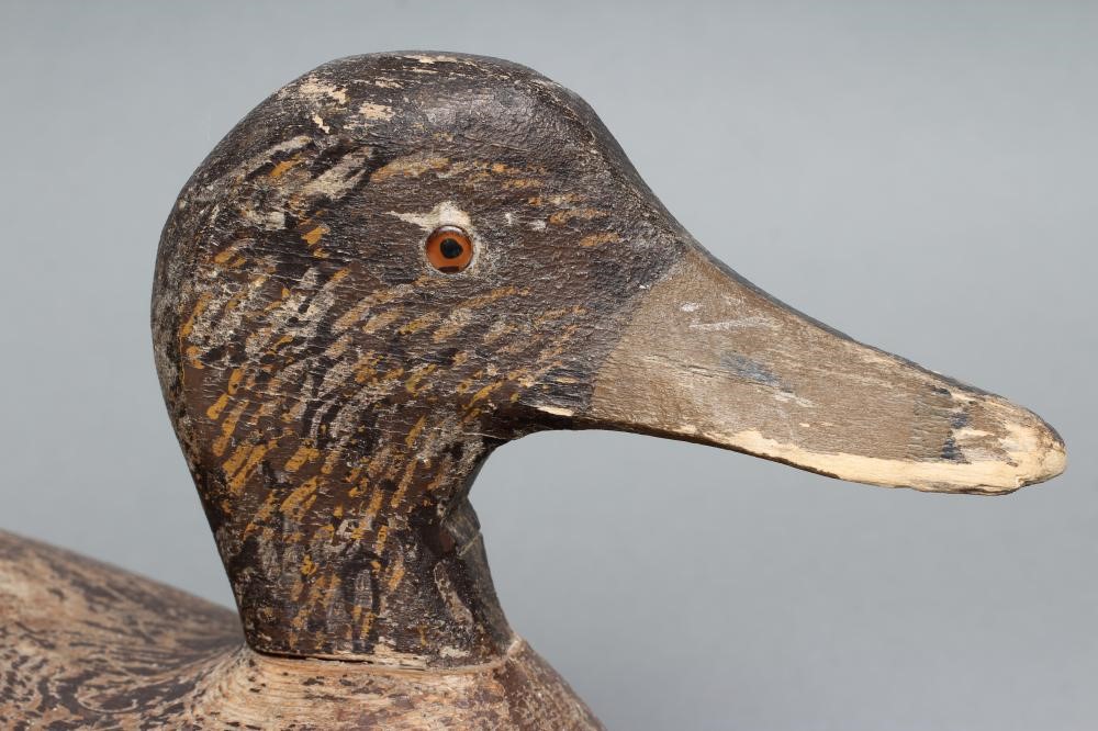 A DECOY BLACK DUCK Image