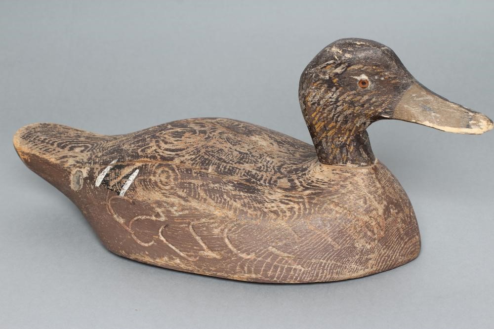 A DECOY BLACK DUCK Image