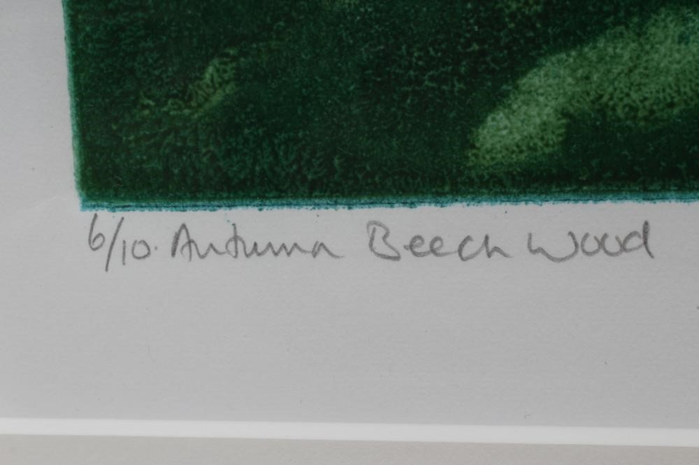 PAULINE MEADE (Contemporary) Image