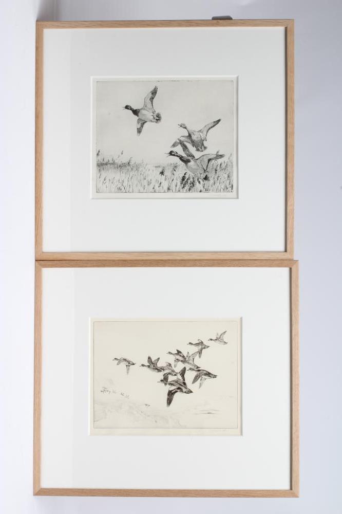 WINIFRED M L AUSTEN (1876-1964) Image