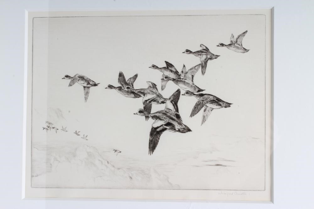 WINIFRED M L AUSTEN (1876-1964) Image