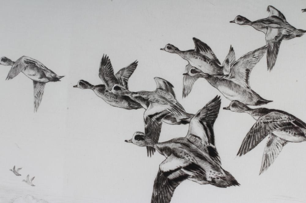 WINIFRED M L AUSTEN (1876-1964) Image