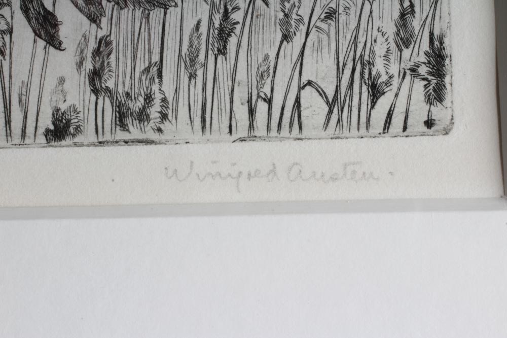 WINIFRED M L AUSTEN (1876-1964) Image