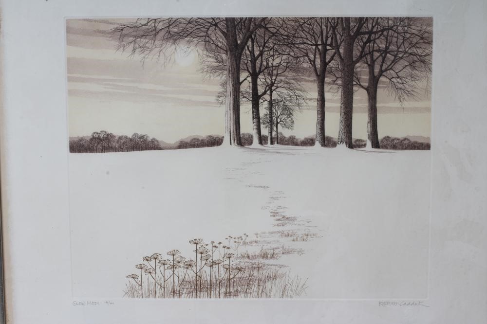 KATHLEEN CADDICK (b.1937) Image