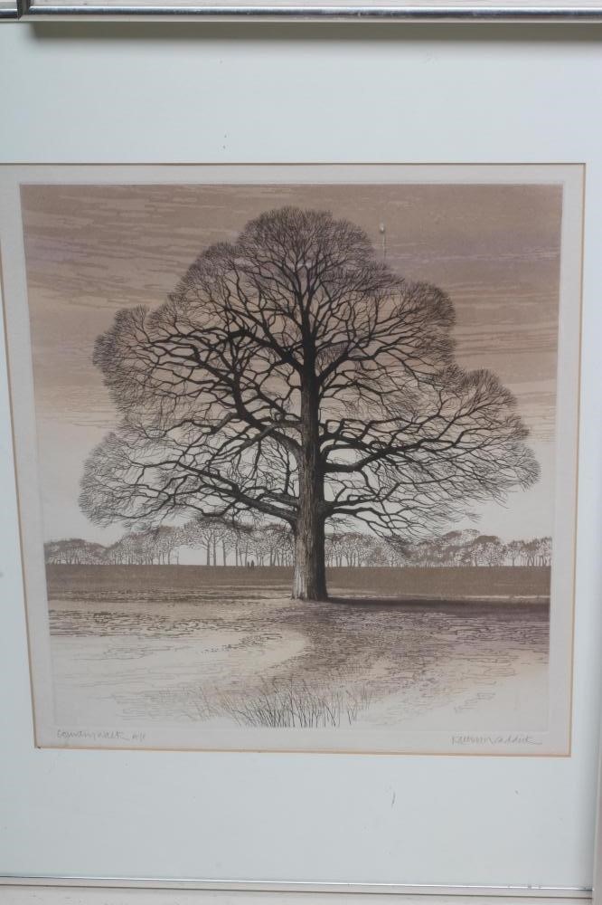 KATHLEEN CADDICK (b.1937) Image