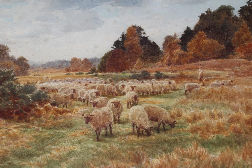 CYRIL WARD (1863-1925) Image