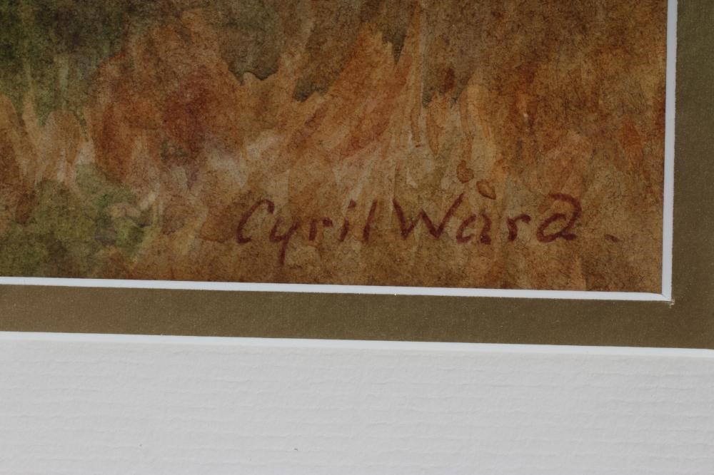 CYRIL WARD (1863-1925) Image