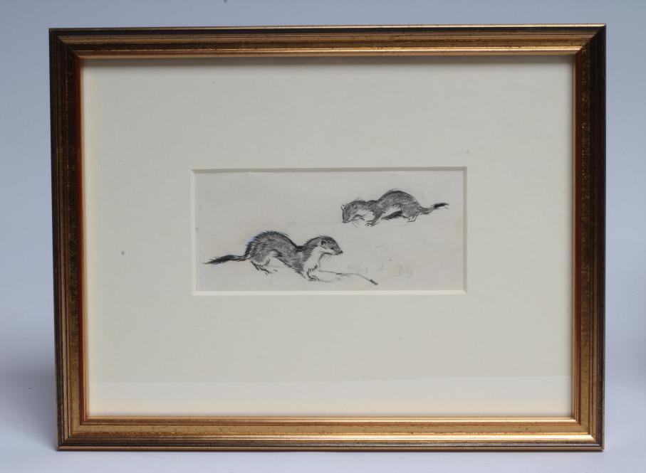 EILEEN ALICE SOPER R.M.S. (1905-1990) Image