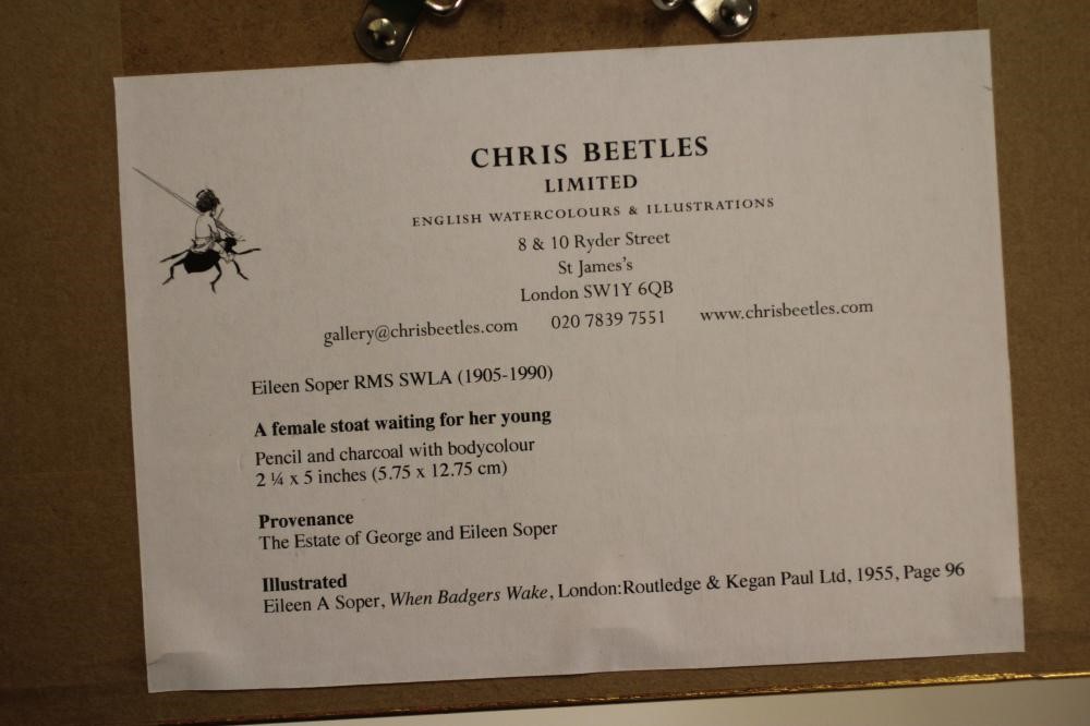 EILEEN ALICE SOPER R.M.S. (1905-1990) Image