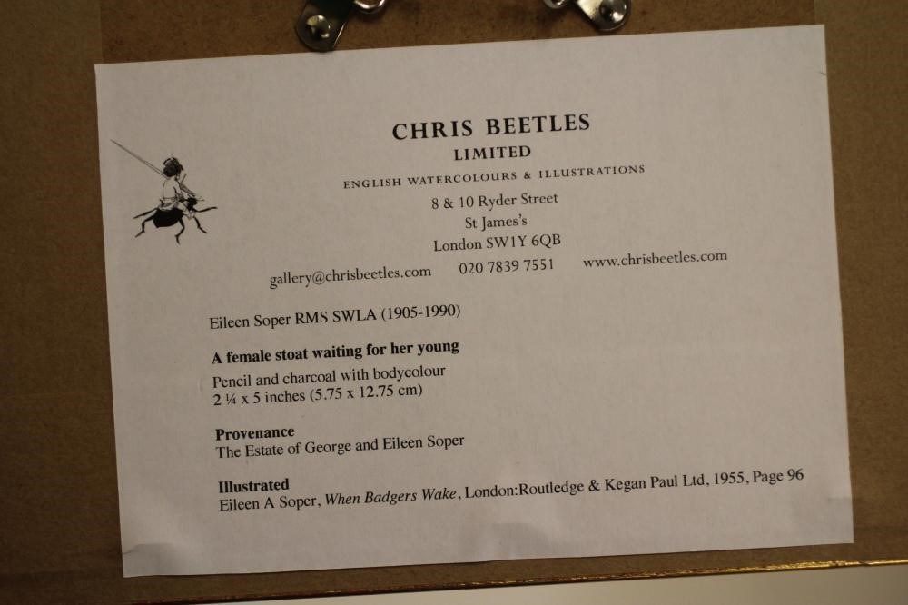 EILEEN ALICE SOPER R.M.S. (1905-1990) Image