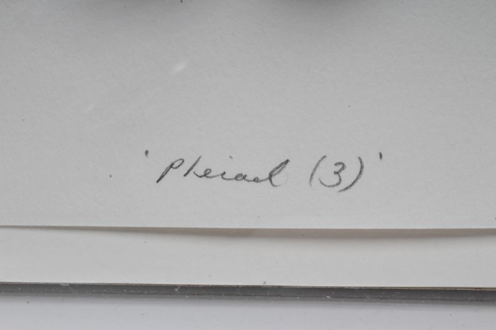 JUSTINE SMITH (b.1971) Image