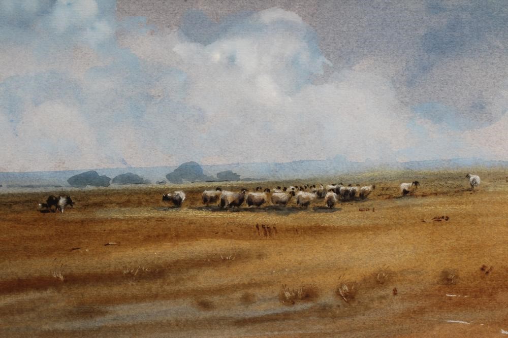 BRIAN IRVINE (1931-2013) Image