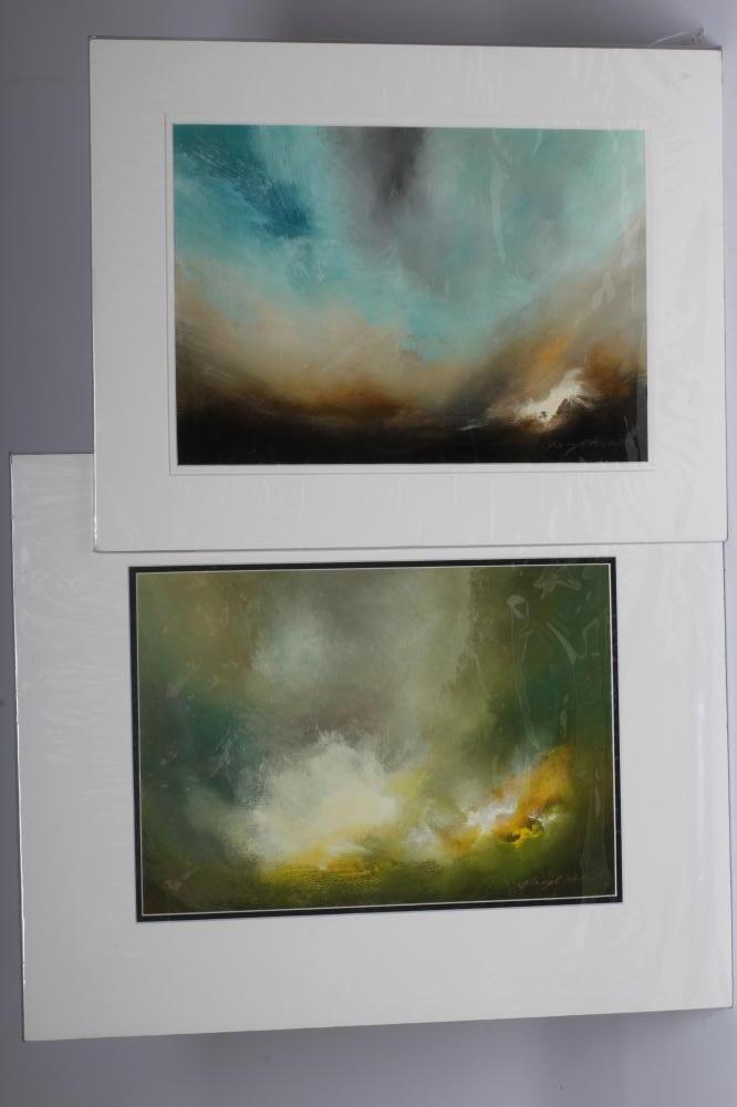 SHERYL ROBERTS (b.1971) Image