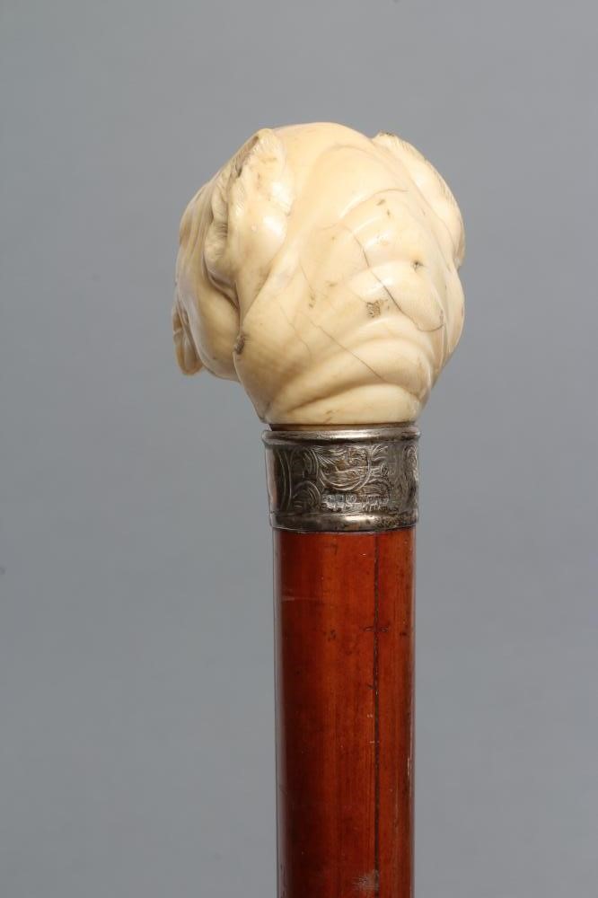 A VICTORIAN MALACCA WALKING STICK Image