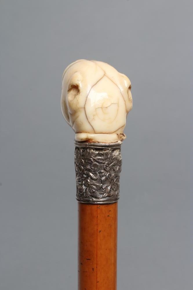 A VICTORIAN MALACCA WALKING CANE Image