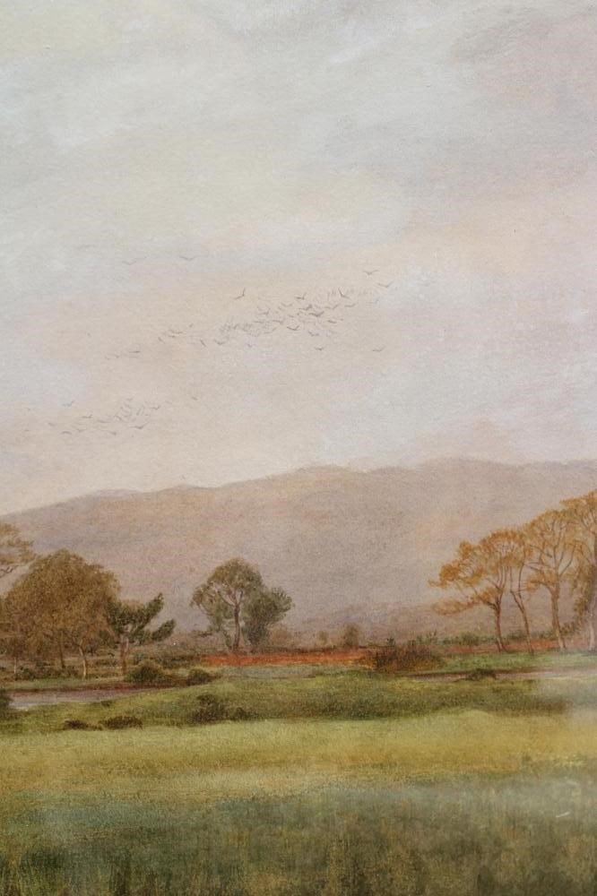 CYRIL WARD (1863-1935) Image