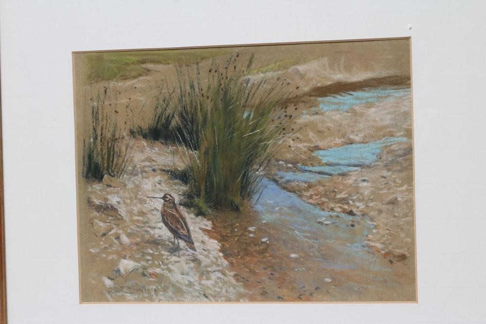 ARTHUR WARDLE (1864-1949) Image