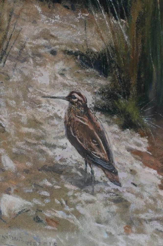 ARTHUR WARDLE (1864-1949) Image