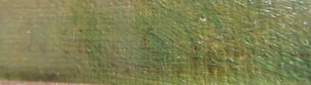 WILLIAM SIDNEY COOPER (1854-1927) Image