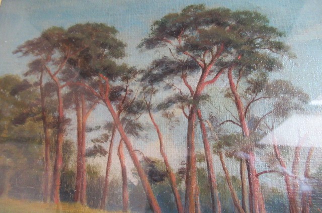 WILLIAM SIDNEY COOPER (1854-1927) Image